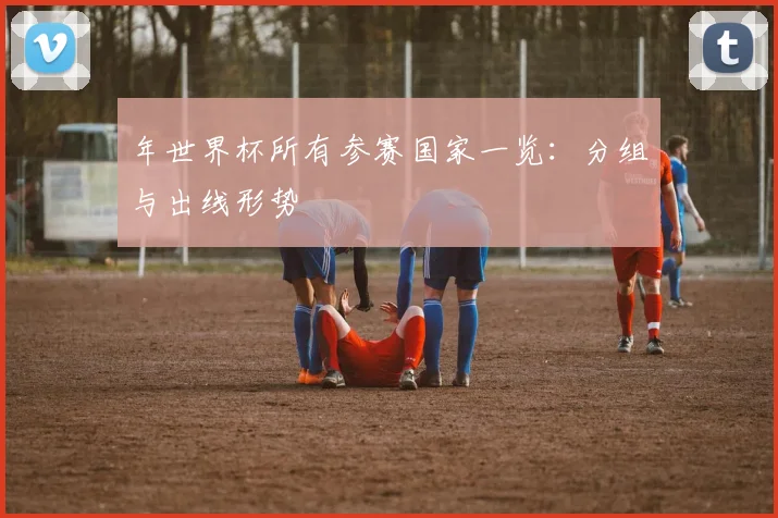 年世界杯所有参赛国家一览：分组与出线形势