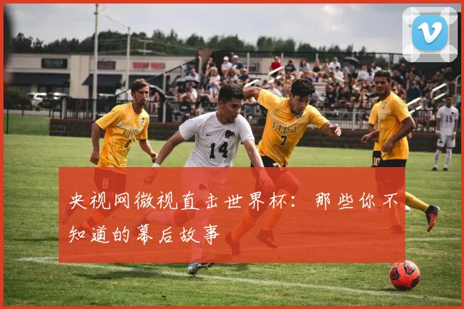 央视网微视直击世界杯：那些你不知道的幕后故事