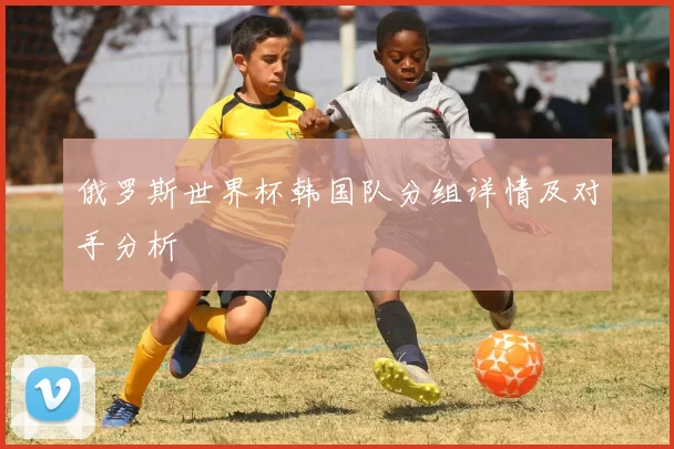 俄罗斯世界杯韩国队分组详情及对手分析